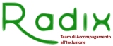 Logo radix